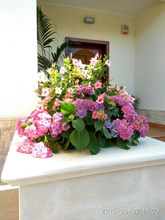 Le Camelie Bed & Breakfast Marina di Ginosa Екстериор снимка